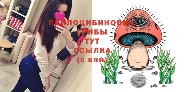 синтетический гашиш Кодинск