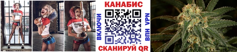 Каннабис семена  Купить где  Торжок 
